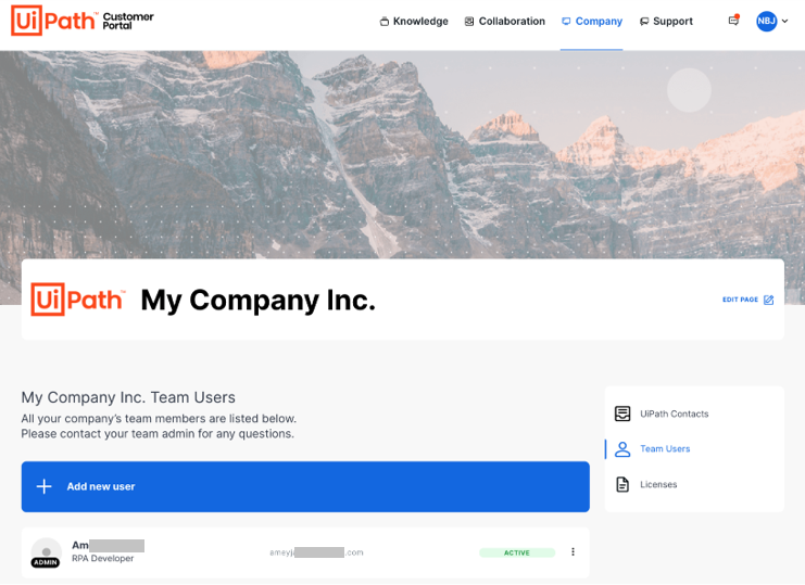 The Team Users section