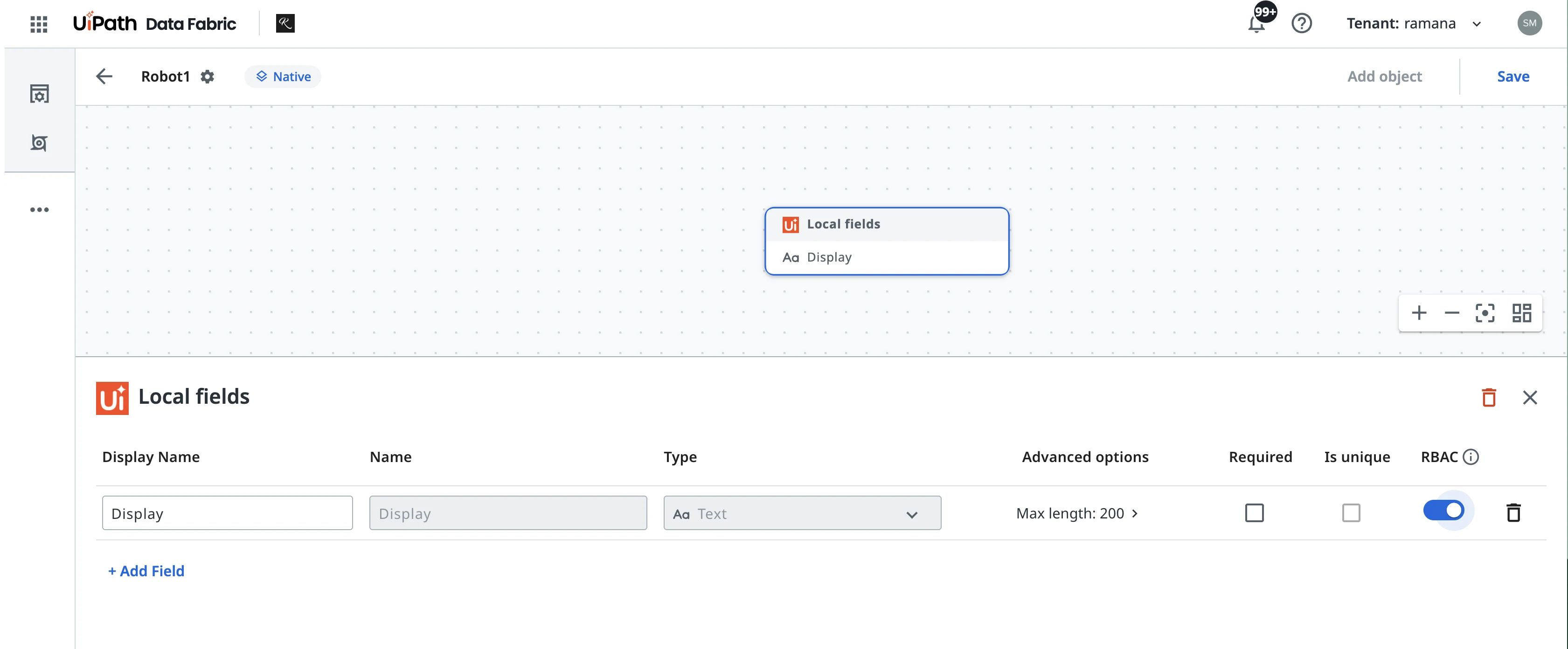 Local fields editor of a Native entity, with the RBAC toggle enabled for a field