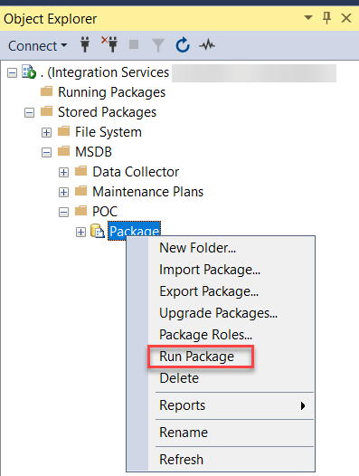 Screenshot of the Object Explorer.