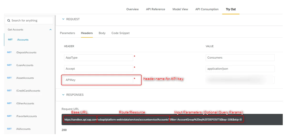 SAP API key parameter configuration