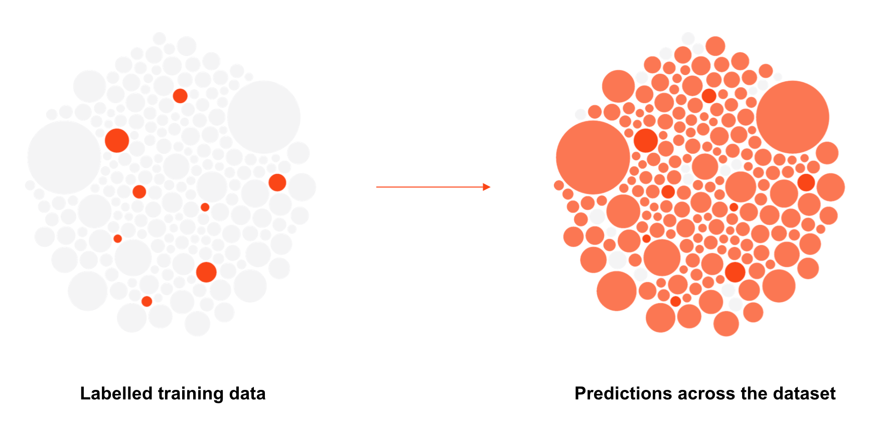 この図は、ラベル付けされたトレーニング データと、データセット全体の予測を示しています。