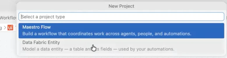 New Project dialog in VS Code showing a "Select a project type" field with "Maestro Flow" and "Data Fabric Entity" as options.