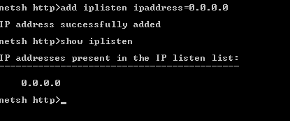 Screenshot of the add iplisten ipaddress=0.0.0.0 command