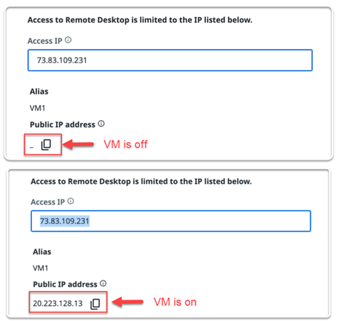 Screenshot of the Public IP address field