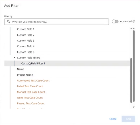 Custom field filter